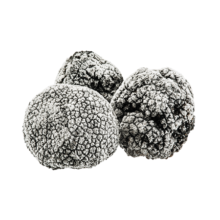 Verrines Brisures Tuber Melanosporum