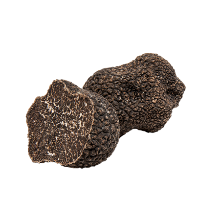 Truffe noire d'hiver  -...