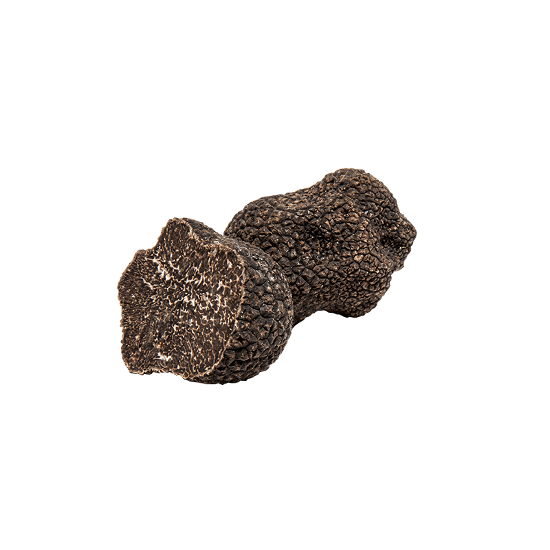 Truffe noire d'hiver entière, Tuber melanosporum - Truffes Richerenches
